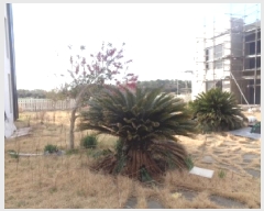  2025Ÿ664   ȴ 踮 2391-14      ð