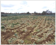  2025Ÿ��897 ���� ���ֽ� �Ѱ�� ��õ�� 1445      ����(��1)���