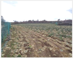  2025Ÿ��897 ���� ���ֽ� �Ѱ�� ��õ�� 1445      ����(��1)���