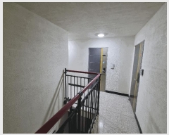  2025Ÿ��906 ���� �������� ������ 115       �ٰ������ð��