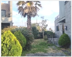  2025Ÿ��936  ���ð��