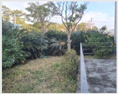  2025Ÿ��936  ���ð��