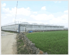  2025Ÿ��1024 ���� �������� ������ ������ 885-2      ����(��1)���