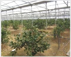  2025Ÿ��1024 ���� �������� ������ ������ 885-2      ����(��1)���