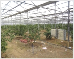  2025Ÿ��1024 ���� �������� ������ ������ 885-2      ����(��1)���