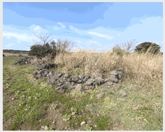  2025Ÿ��1042 ���� �������� ǥ���� ������ 1963      ����(�Ӿ�)���