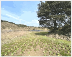  2025Ÿ��1042 ���� �������� ǥ���� ������ 1963      ����(�Ӿ�)���