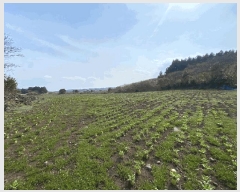  2025Ÿ��1042 ���� �������� ǥ���� ������ 1963      ����(�Ӿ�)���