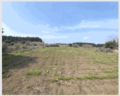  2025Ÿ��1042 ���� �������� ǥ���� ������ 1963      ����(�Ӿ�)���