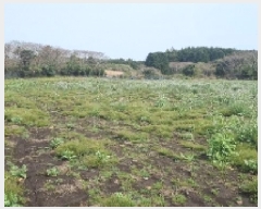  2025Ÿ��1042 ���� �������� ǥ���� ������ 1963      ����(�Ӿ�)���