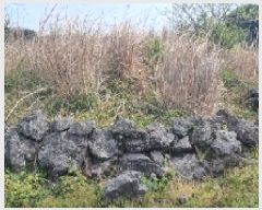  2025Ÿ��1042 ���� �������� ǥ���� ������ 1963      ����(�Ӿ�)���