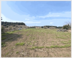  2025Ÿ��1042 ���� �������� ǥ���� ������ 1963      ����(�Ӿ�)���