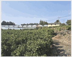  2025Ÿ��1096 ���� �������� ������ �ŷʸ� 464      ����(������)���