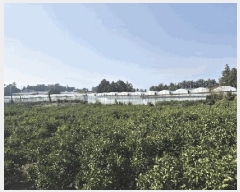  2025Ÿ��1096 ���� �������� ������ �ŷʸ� 464      ����(������)���