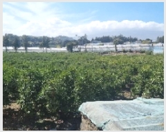  2025Ÿ��1096 ���� �������� ������ �ŷʸ� 464      ����(������)���