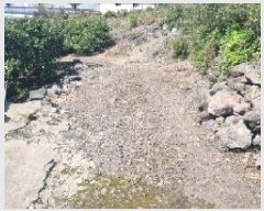  2025Ÿ��1096 ���� �������� ������ �ŷʸ� 464      ����(������)���