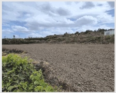  2025Ÿ��1127 ���� ���ֽ� �ֿ��� ������ 2520      ����(��1)���