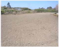  2025Ÿ��1127 ���� ���ֽ� �ֿ��� ������ 2520      ����(��1)���