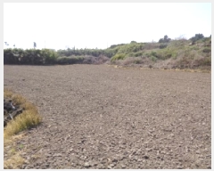  2025Ÿ��1127 ���� ���ֽ� �ֿ��� ������ 2520      ����(��1)���