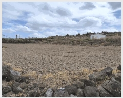  2025Ÿ��1127 ���� ���ֽ� �ֿ��� ������ 2520      ����(��1)���