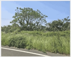  2025Ÿ��1228 ���� ���ֽ� �Ѹ��� ��븮 3588-6      ����(�Ӿ�)���