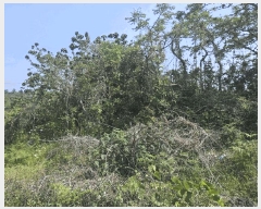  2025Ÿ��1228 ���� ���ֽ� �Ѹ��� ��븮 3588-6      ����(�Ӿ�)���