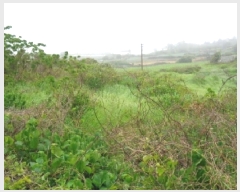  2025Ÿ��1228 ���� ���ֽ� �Ѹ��� ��븮 3588-6      ����(�Ӿ�)���