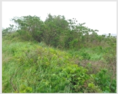  2025Ÿ��1228 ���� ���ֽ� �Ѹ��� ��븮 3588-6      ����(�Ӿ�)���