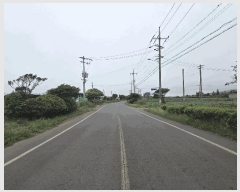  2025Ÿ��1267 ���� �������� ������ ��� 2175-7      ����(��1)���