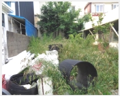  2025Ÿ��1335 ���� ���ֽ� �ﵵ�ϵ� 792-3       ����(����)���