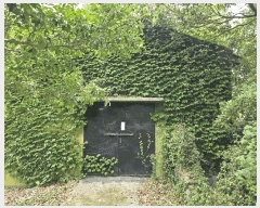  2025Ÿ��1383 ���� �������� ������ �ȼ��� 1912-5      ����,â�����