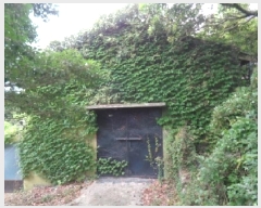  2025Ÿ��1383 ���� �������� ������ �ȼ��� 1912-5      ����,â�����