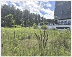  2025Ÿ��1394 ���� ���ֽ� ������ 241-13       ����(����)���