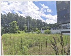  2025Ÿ��1394 ���� ���ֽ� ������ 241-13       ����(����)���