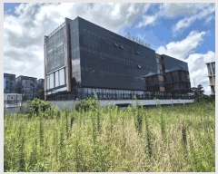  2025Ÿ��1394 ���� ���ֽ� ������ 241-13       ����(����)���