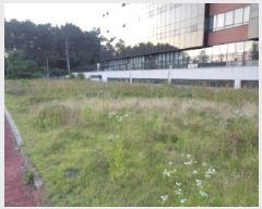  2025Ÿ��1394 ���� ���ֽ� ������ 241-13       ����(����)���