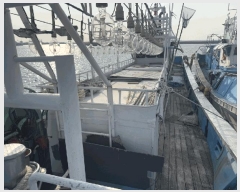  2025Ÿ��1853  ���ڰ��