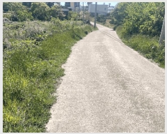  2025Ÿ��6082 ���� ���ֽ� �Ѹ��� ���縮 1834-1      ����(��1)���