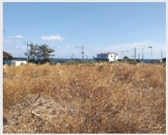  2025Ÿ6754    ︮ 80-17      (1)