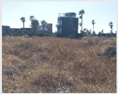  2025Ÿ6754    ︮ 80-17      (1)