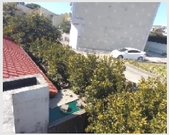  2025Ÿ��6945 ���� �������� ������ ���̸� 3203      ����(����)���