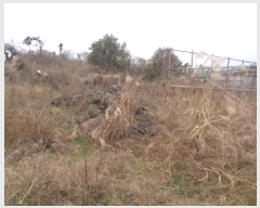  2025Ÿ��7023  �����