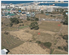  2025Ÿ��7115 ���� ���ֽ� �ֿ��� �ֿ��� 512      ����(��1)���