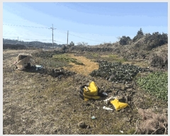  2025Ÿ��7115 ���� ���ֽ� �ֿ��� �ֿ��� 512      ����(��1)���