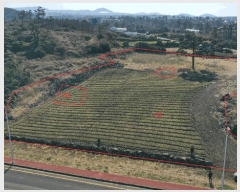  2025Ÿ��7115 ���� ���ֽ� �ֿ��� �ֿ��� 512      ����(��1)���