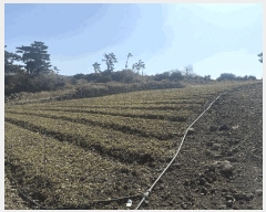  2025Ÿ��7115 ���� ���ֽ� �ֿ��� �ֿ��� 512      ����(��1)���