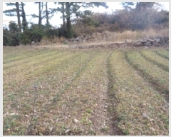  2025Ÿ��7115 ���� ���ֽ� �ֿ��� �ֿ��� 512      ����(��1)���