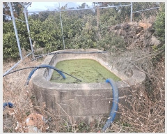  2025Ÿ��7470 ���� �������� ǥ���� ��긮 264-3      ����(������)���