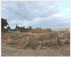  2025Ÿ��7470 ���� �������� ǥ���� ��긮 264-3      ����(������)���