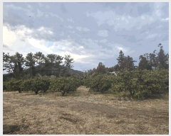  2025Ÿ��7470 ���� �������� ǥ���� ��긮 264-3      ����(������)���